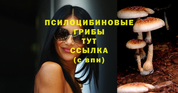 экстази Алексин
